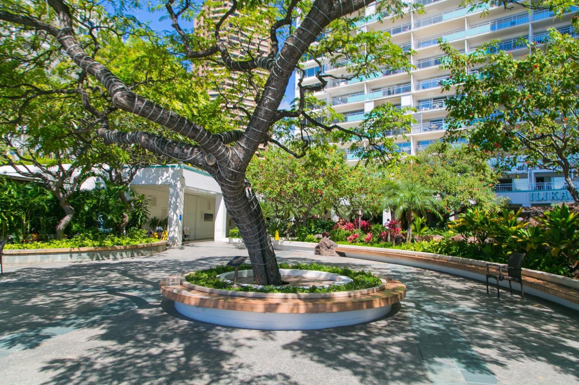 Ilikai Tower 2109 City View 2BR Honolulu Bagian luar foto
